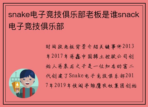 snake电子竞技俱乐部老板是谁snack电子竞技俱乐部